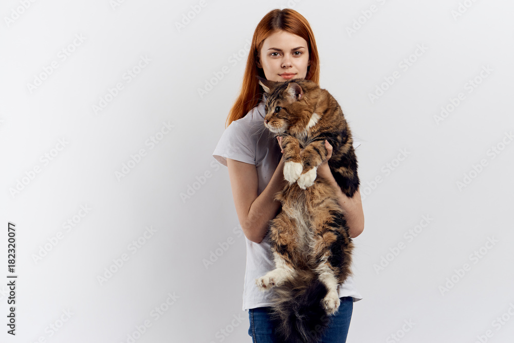 Woman holds a maine coon cat on her hands on a light background