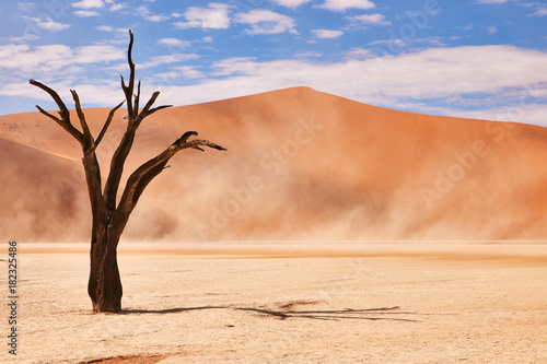 Namibian desert landscape © lucaar