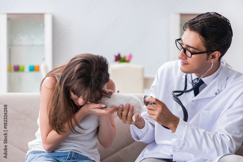 Fototapeta premium Woman with pet rabbit visiting vet doctor
