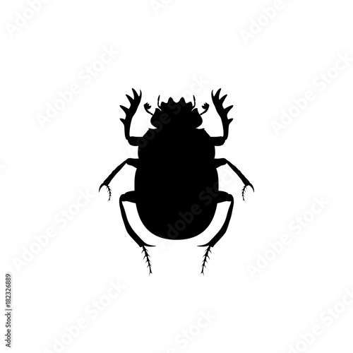 Graphic illustration of stencil Scarab