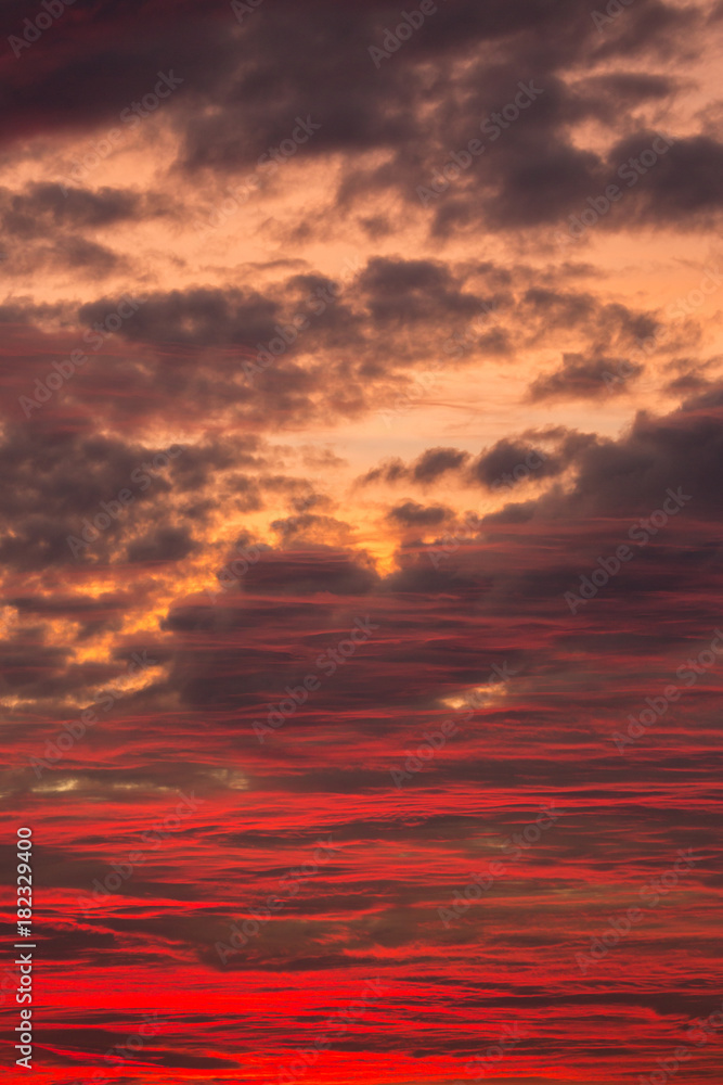 dramatic bloody red sunset with illuminated cirrus clouds