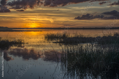 Myakka Sunset