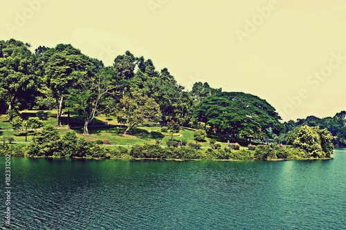 Nature Park of Singapore Macritchie Reservoir Nature  Reserve  photo