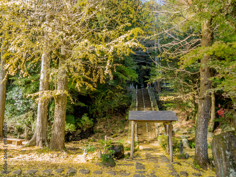 伊豆修善寺奥の院の紅葉