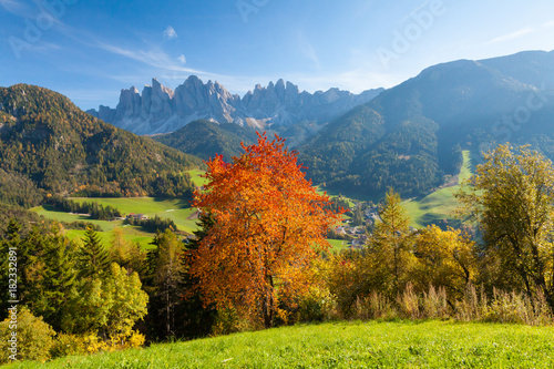 Fototapeta Naklejka Na Ścianę i Meble -  Foliage in the Italian Alps