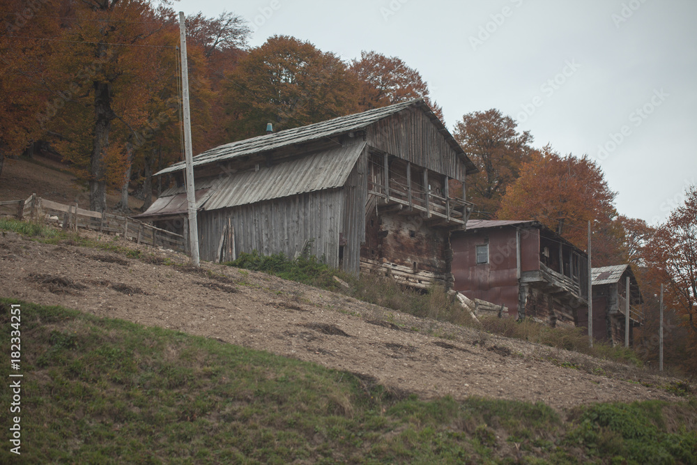 Obraz premium old wooden houses in a mountain, Georgian village, poor people