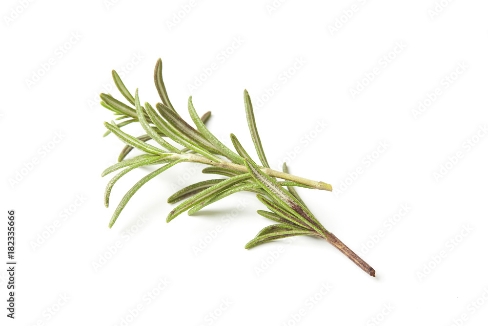 Fototapeta premium Rosemary isolated on white background, Top view