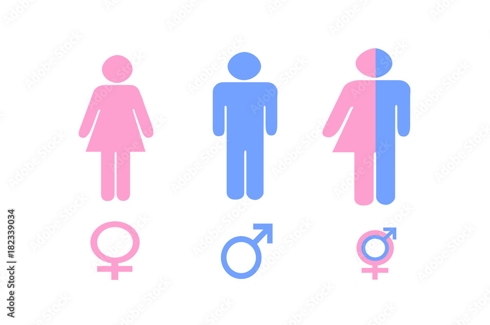Illustration of Gender Signs in Pink and Blue Illustration of Gender Signs in Pink and Blue