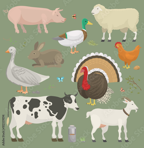Different home farm vector animals and birds like cow  sheep  pig  duck farmland set illustration