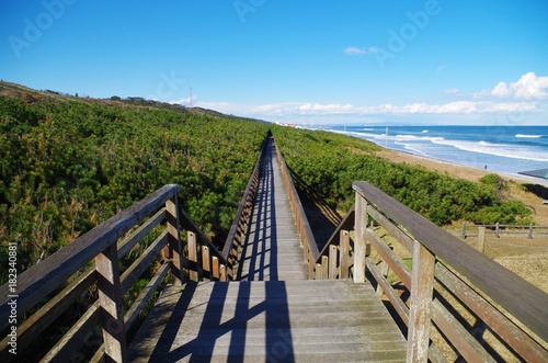 鹿島灘の木道 photo