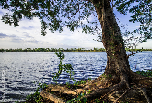 Lake in bangkok called  Nong Bon lake  Thailand