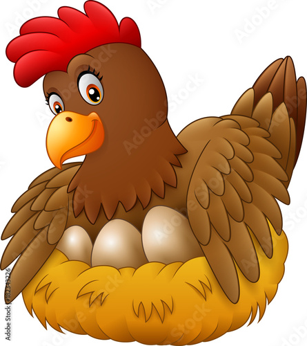 Cute hen brooding her egg