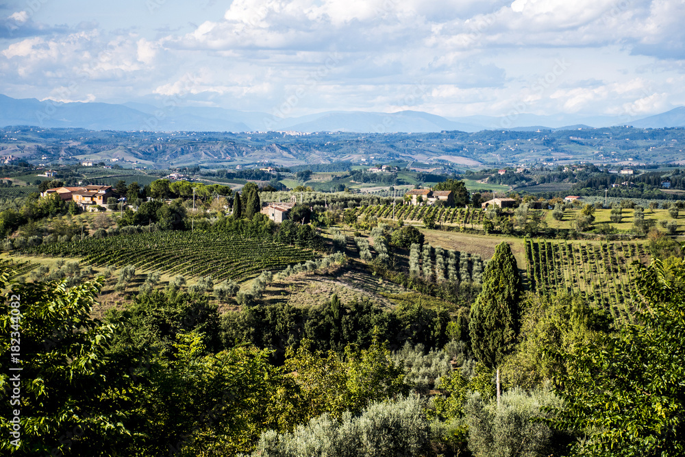 Wineyard in Italy Toscany Chianti Region Panorama