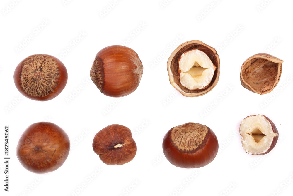 Hazelnut isolated on white background. Set or collection. Top view Hazelnut isolated on white background. Set or collection. Top view