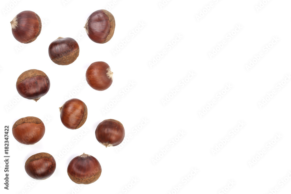 chestnut isolated on white background with copy space for your text. Top view. Flat lay chestnut isolated on white background with copy space for your text. Top view. Flat lay