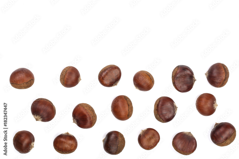 chestnut isolated on white background with copy space for your text. Top view. Flat lay chestnut isolated on white background with copy space for your text. Top view. Flat lay
