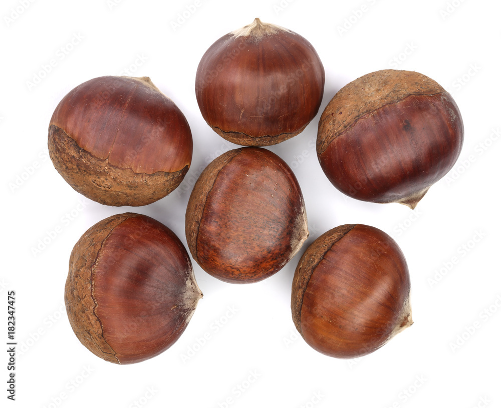 Obraz premium chestnut isolated on white background. Top view. Flat lay