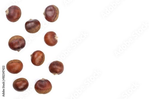 Wallpaper Mural chestnut isolated on white background with copy space for your text. Top view. Flat lay Torontodigital.ca