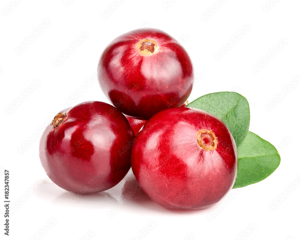 Cranberry with leaf isolated on white background closeup macro Cranberry with leaf isolated on white background closeup macro