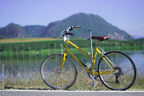 The yellow bicycle.