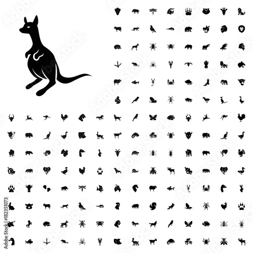Kangaroo icon illustration. animals icon set for web and mobile.
