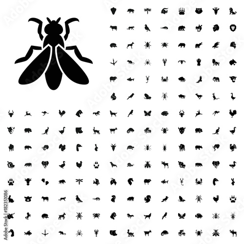 Fly icon illustration. animals icon set for web and mobile. photo