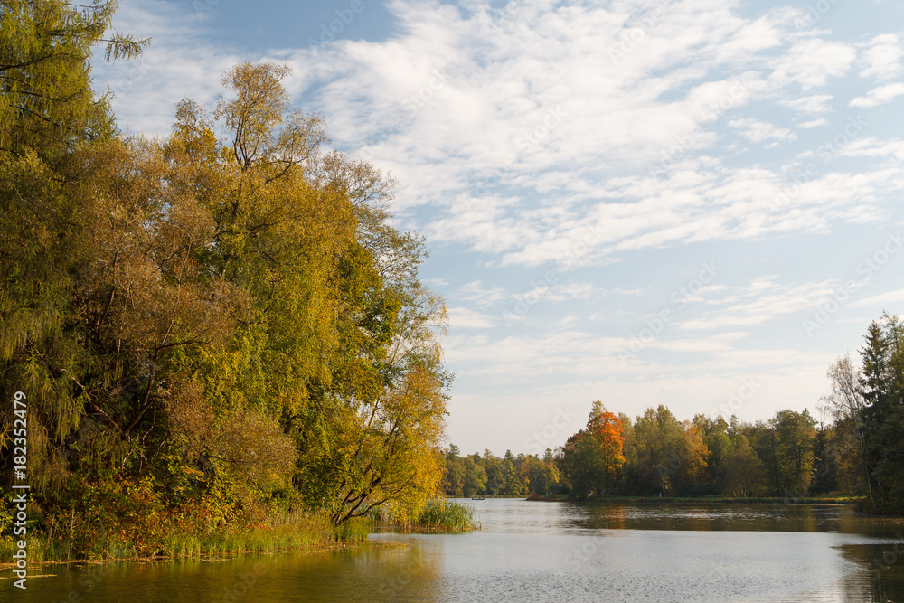 Pond in the public park of Gatchina, Russia Pond in the public park of Gatchina, Russia