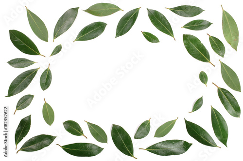frame of laurel isolated on white background with copy space for your text. Fresh bay leaves. Top view. Flat lay pattern