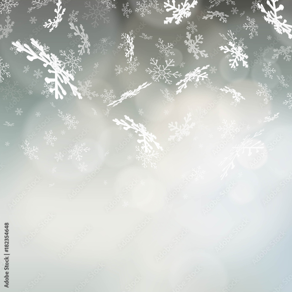Winter background with a falling snowflakes Winter background with a falling snowflakes