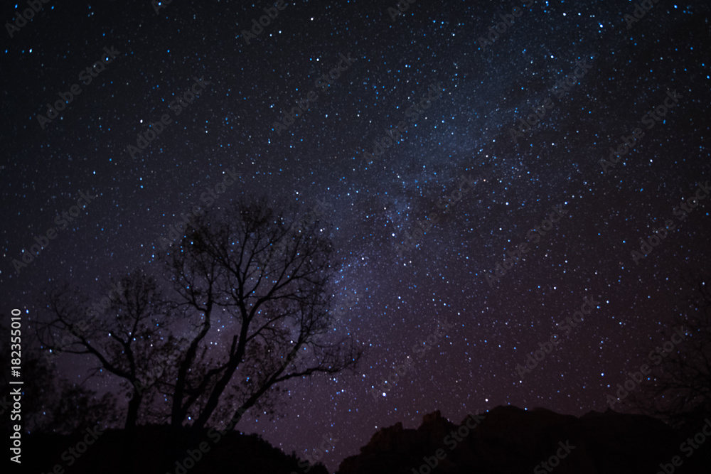 Fototapeta premium Milky Way Over Zion