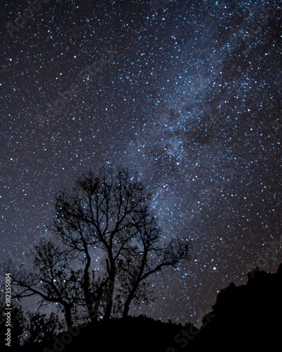 Milky Way Over Tree