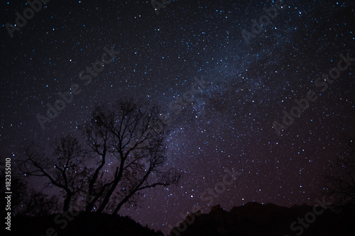 Milky Way Over Zion