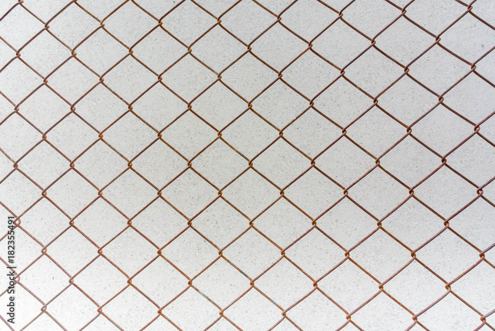 Fototapeta premium wire mesh