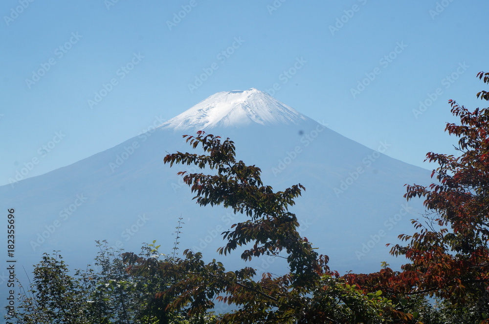 Fototapeta premium Mount Fuji