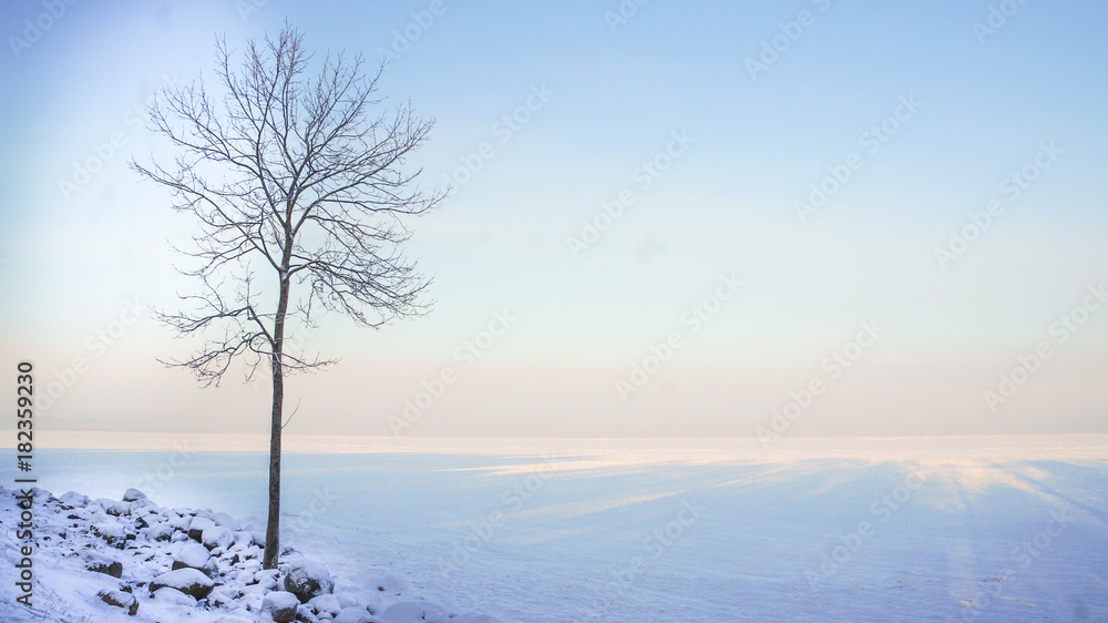 Winter beautiful landscape with the sun, frost and fog.
Winter beautiful landscape with the sun, frost and fog.