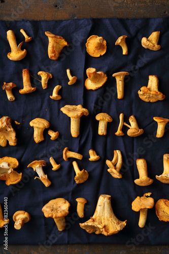 Fresh chantelles mushrooms pattern on dark background