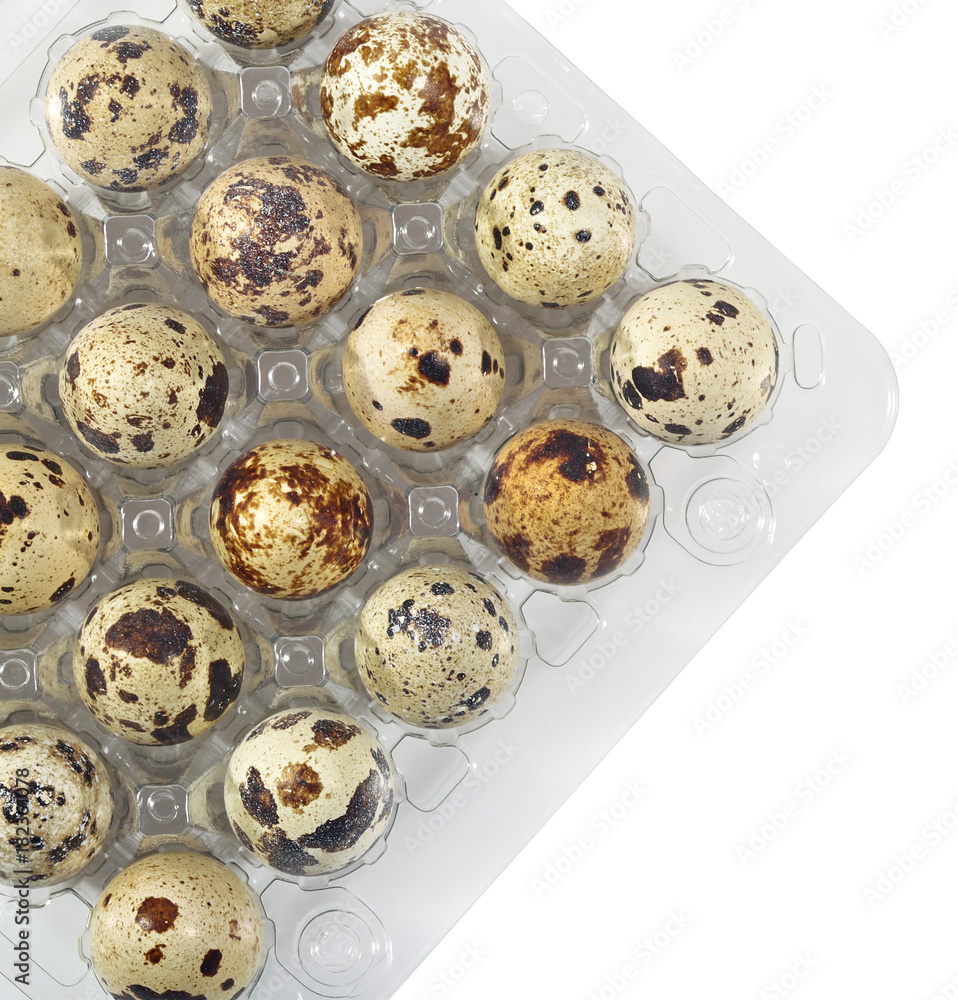 Quail eggs in a transparent plastic container on a white