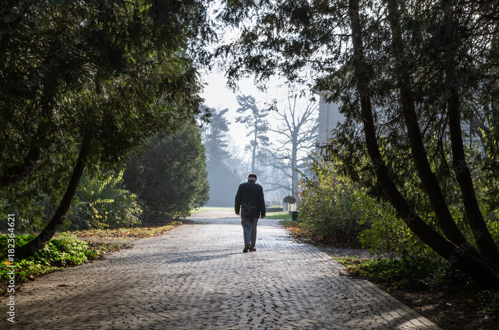 Single old man walking on the alley in the park early morning