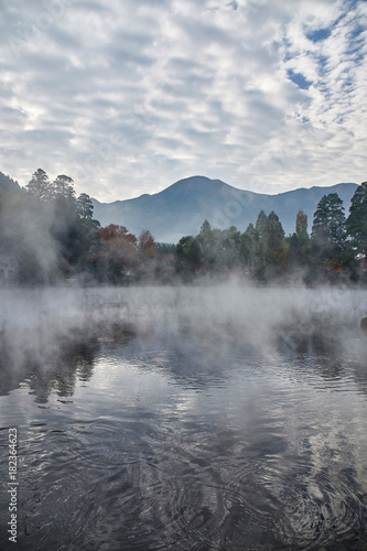 朝霧の金鱗湖 © sakura