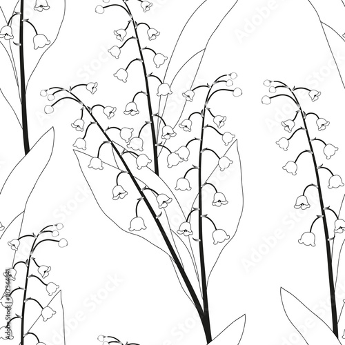 White Lily of the Valley on...