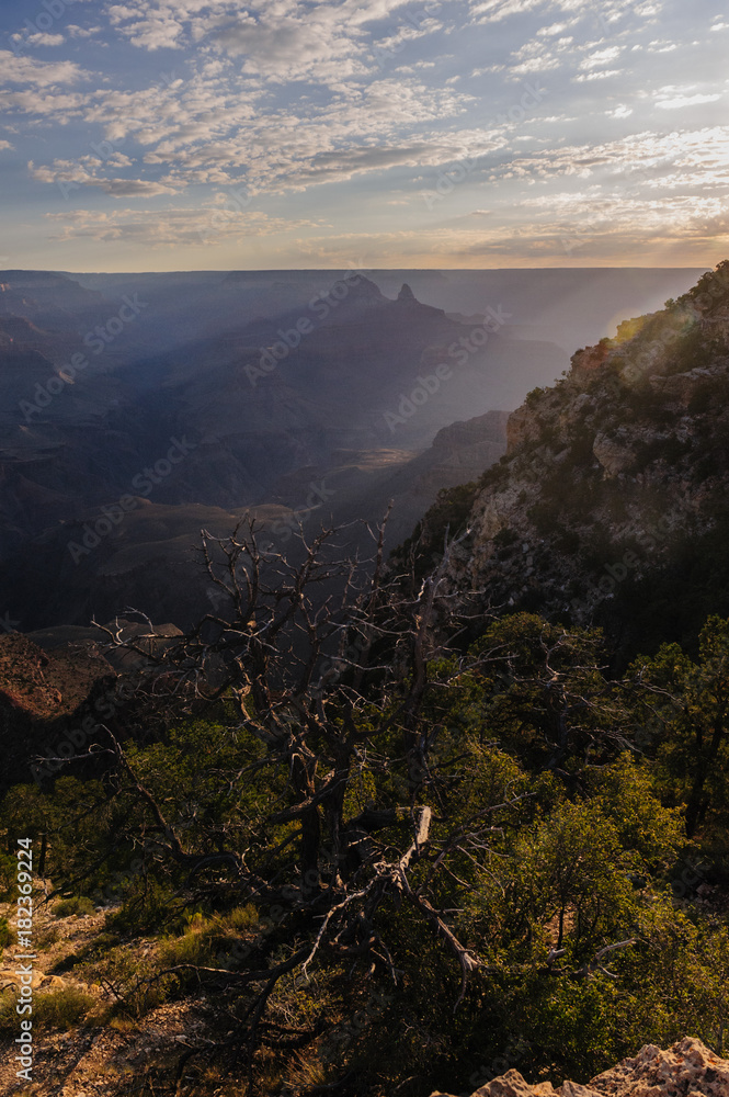 Obraz premium Sunrise over the Grand Canyon