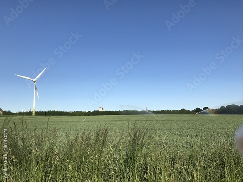 Feld, Wiese, Hund, Pflanze, Sonne, Wolken, Strand, Sonnenuntergang, Meer, See, Frost, Tau,