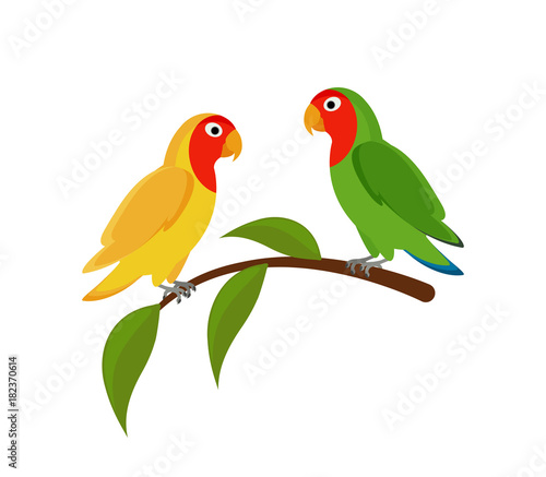 Lovebirds on a branch