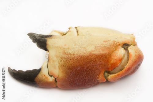 pince de crabe