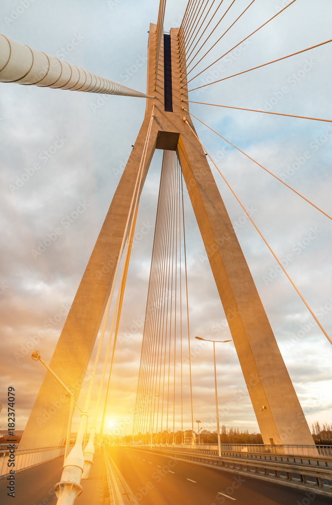 Naklejka premium Highway going through a cable-stayed bridge