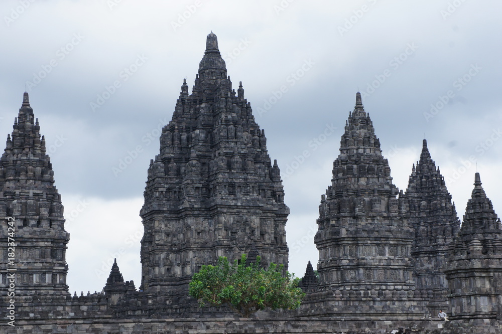 Fototapeta premium SONY DSC