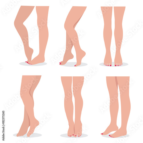 Beautiful elegant woman legs and feet in different poses isolated vector set