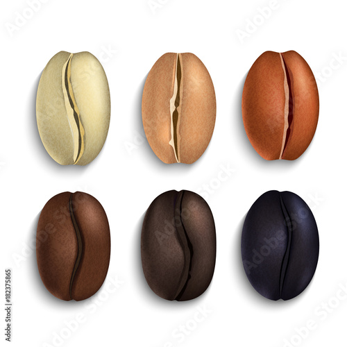 Relistic coffee beans in various roasting stages isolated vector set