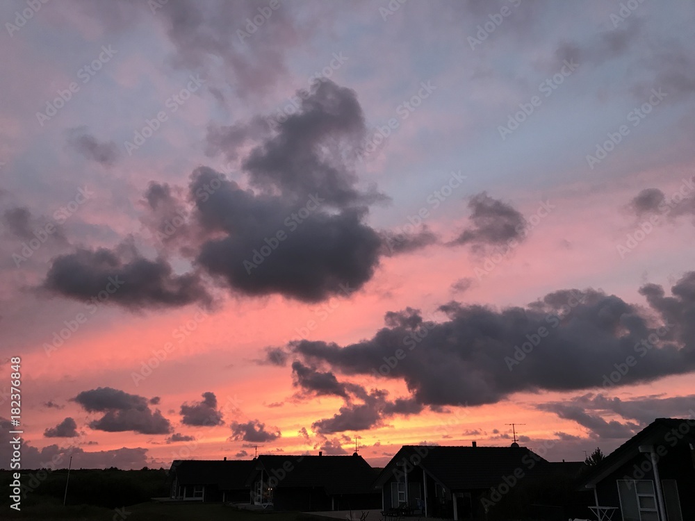 Feld, Wiese, Hund, Pflanze, Sonne, Wolken, Strand, Sonnenuntergang, Meer, See, Frost, Tau, Feld, Wiese, Hund, Pflanze, Sonne, Wolken, Strand, Sonnenuntergang, Meer, See, Frost, Tau,