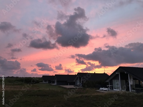 Feld, Wiese, Hund, Pflanze, Sonne, Wolken, Strand, Sonnenuntergang, Meer, See, Frost, Tau,
